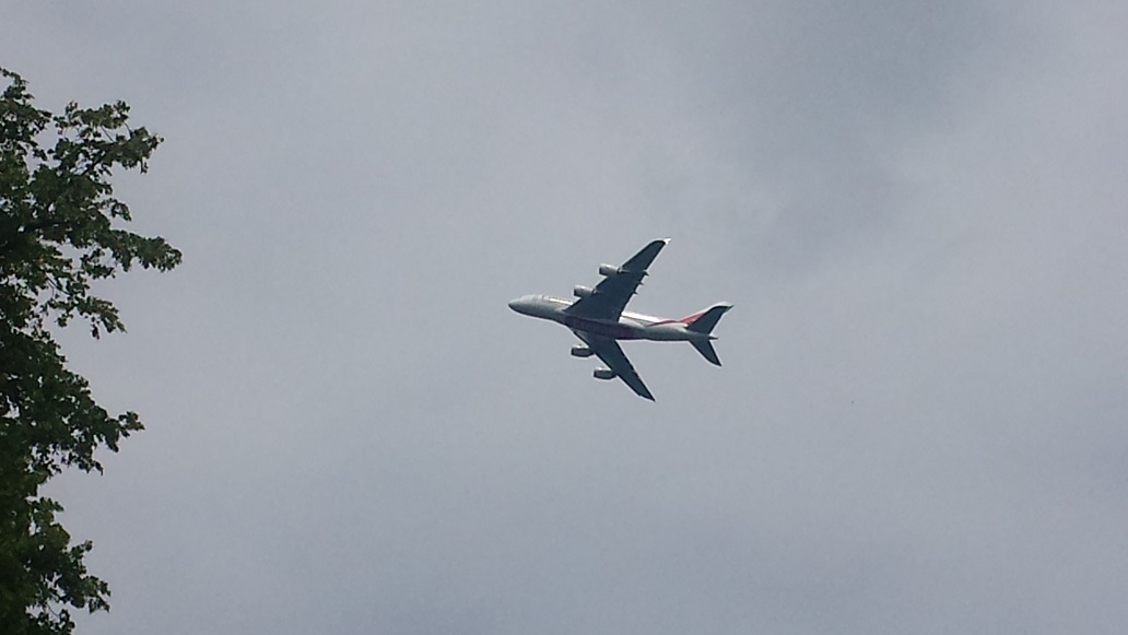 201465224659_5.jpg